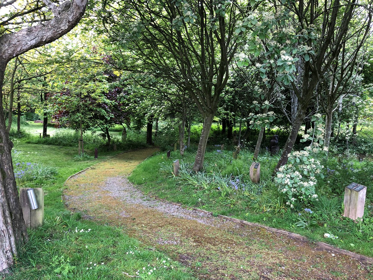 Torrisholme Cemetery Woodland Burial Area